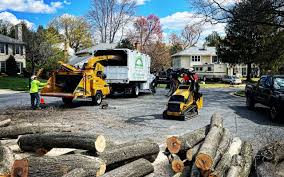 Professional Tree Services in Pompton Lakes, NJ